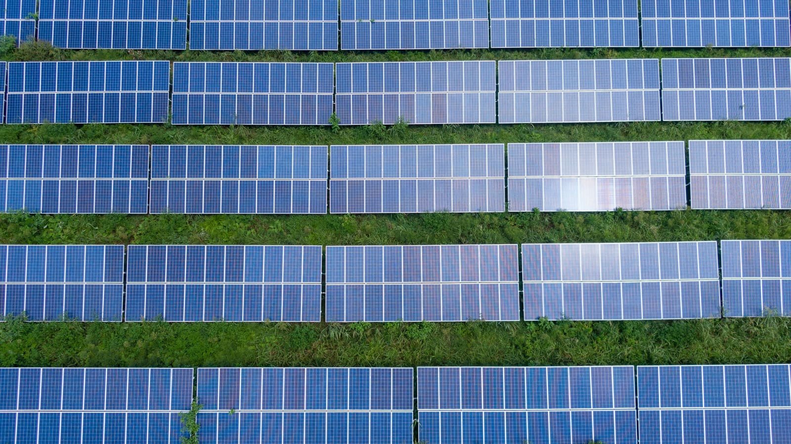 Rows of solar panels installed across a field
